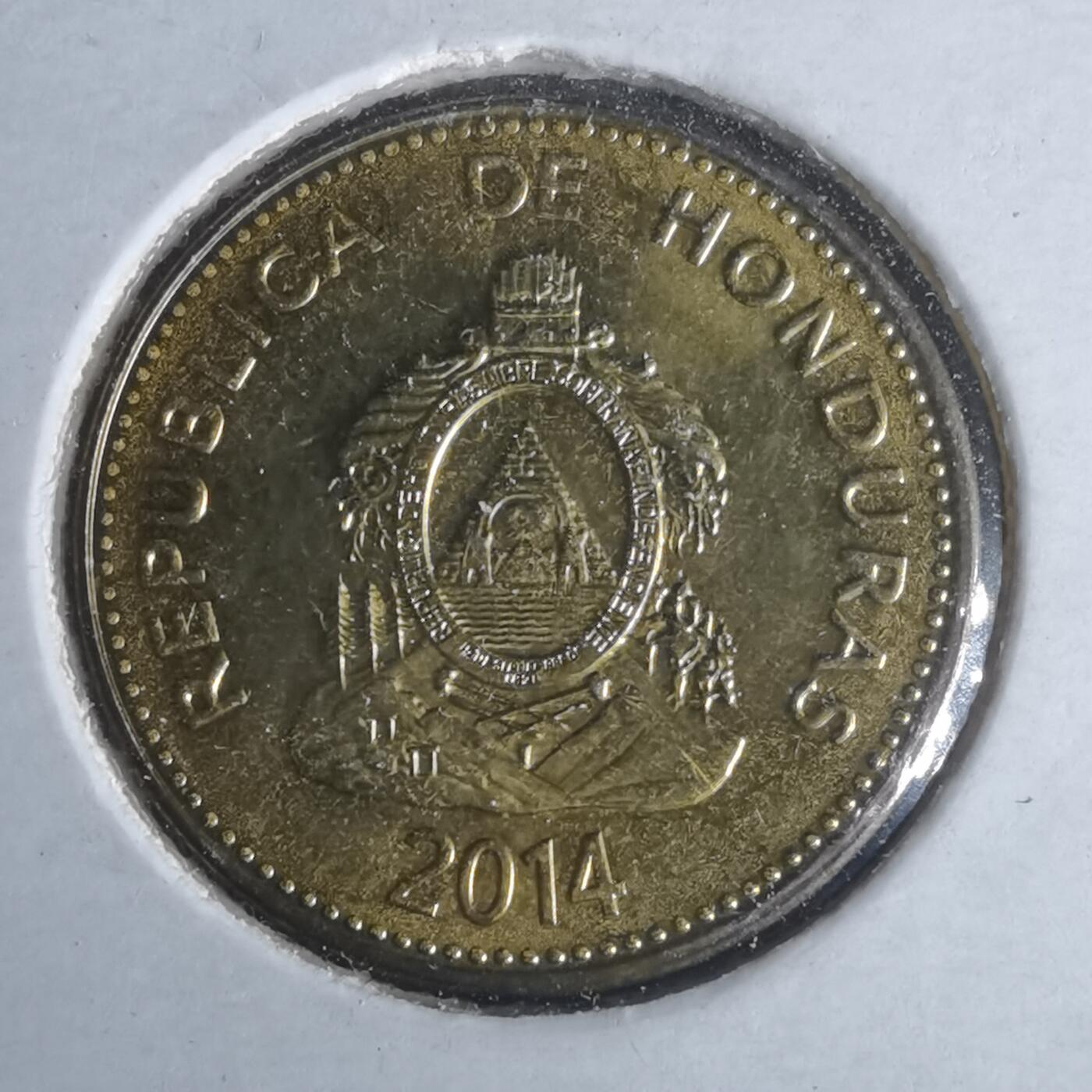 沼泽如烟--第981场