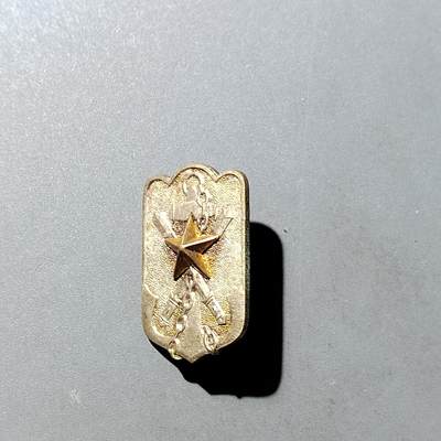 PCAI钱币  1-745  铜奖章纪念章专场 - 帝国在乡军人会