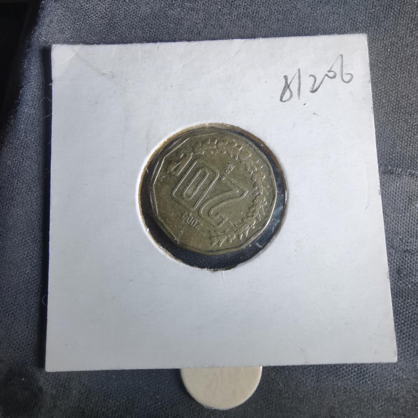 沼泽如烟--第981场