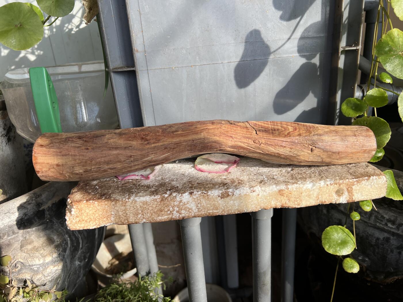 零元拍：NO.35-7海南黄花梨珠子把件料，外面白皮基本都去掉了，红肉打底花纹很漂亮。350/45/55MM