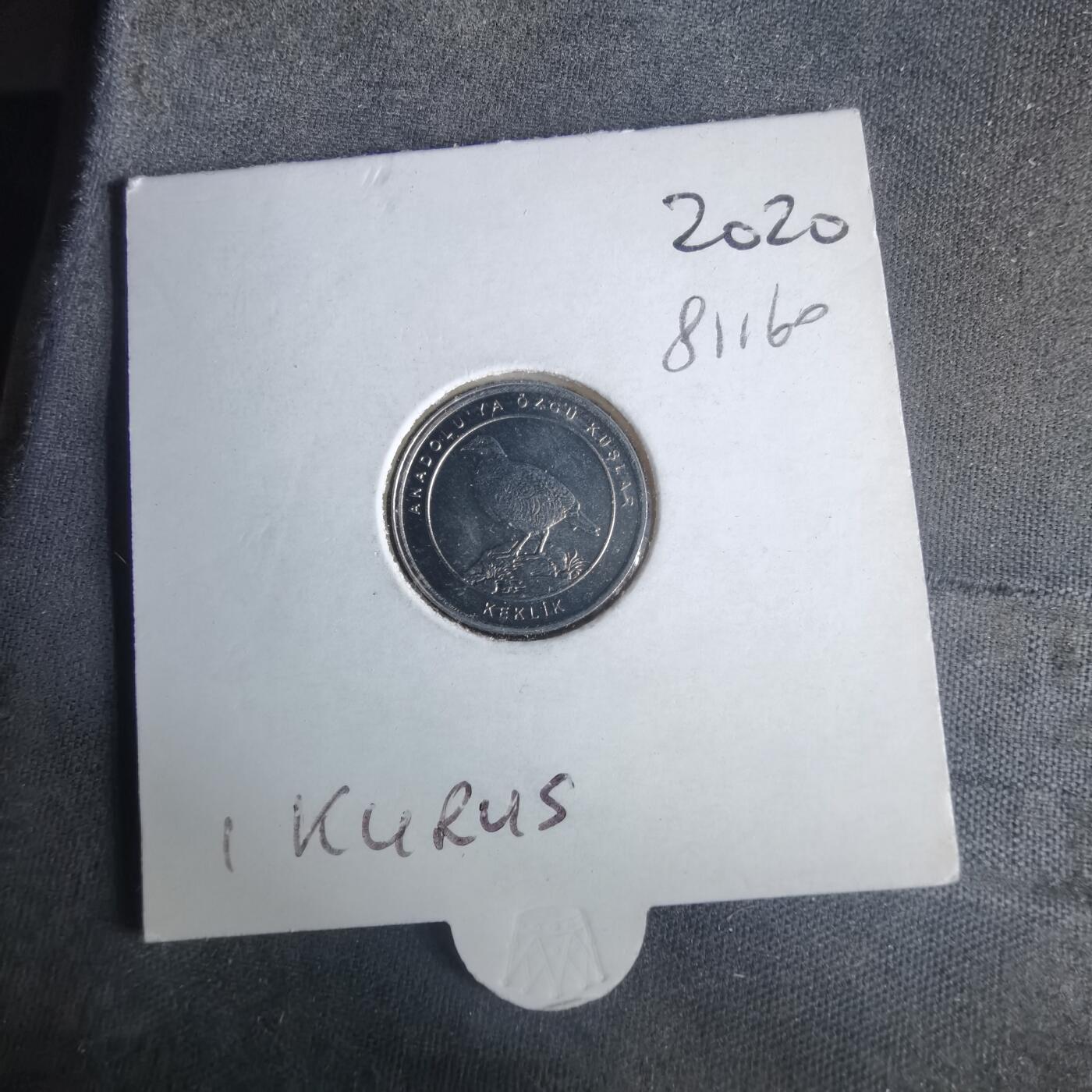 沼泽如烟--第981场 土耳其小鸟系列