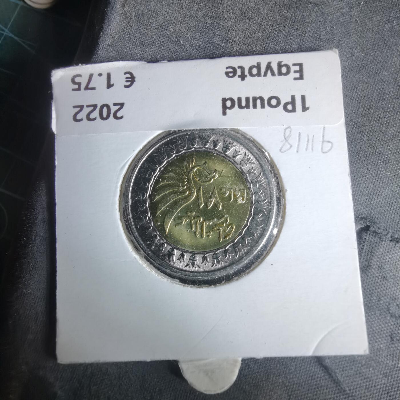 沼泽如烟--第981场 埃及2023年1磅纪念币