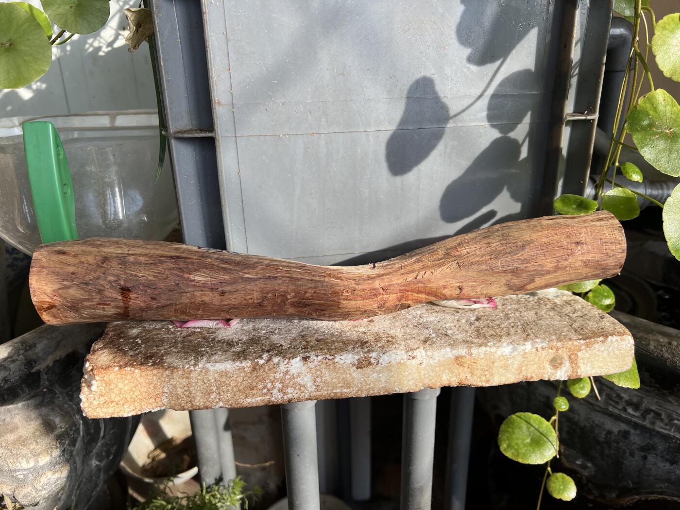 零元拍：NO.35-7海南黄花梨珠子把件料，外面白皮基本都去掉了，红肉打底花纹很漂亮。350/45/55MM