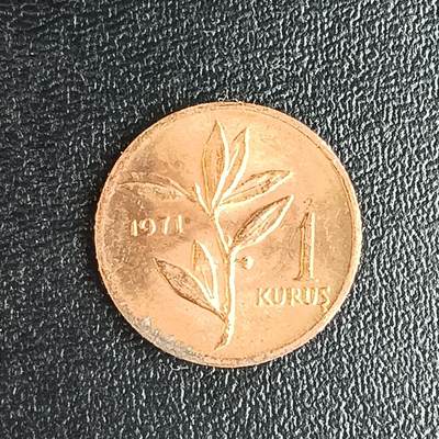 逸泉钱币2026第十二组世界钱币专场春节千件大拍A1614～2574 - 1833 土耳其1库鲁