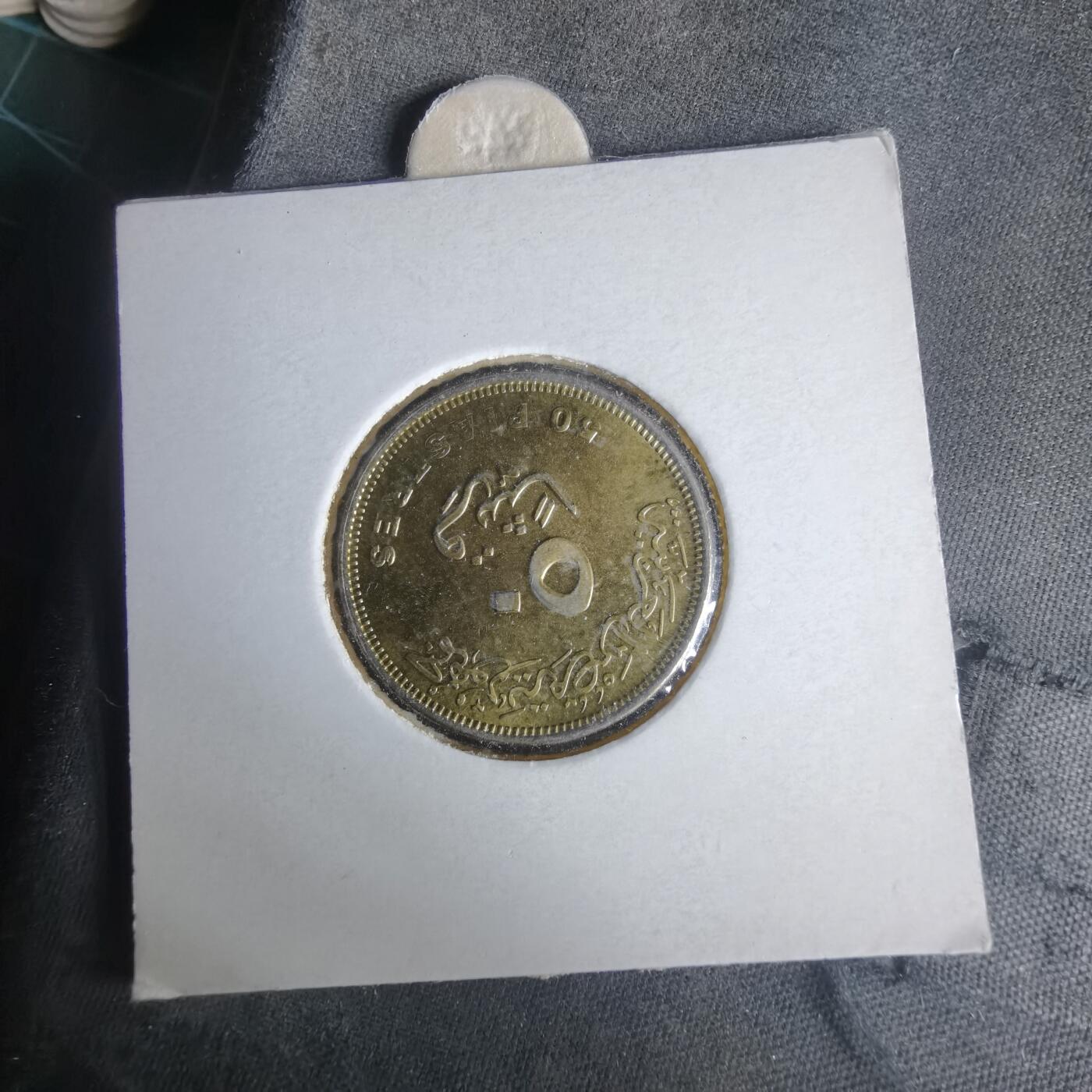 沼泽如烟--第981场