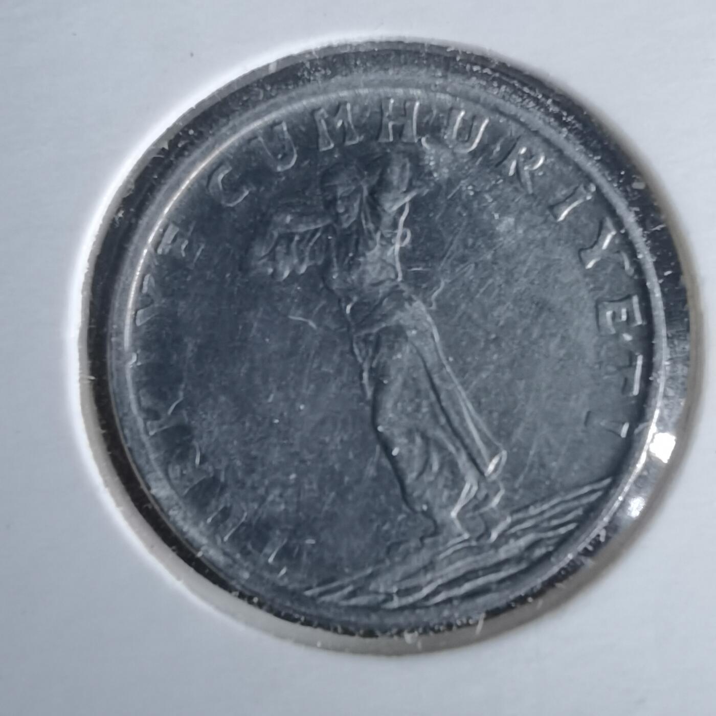 沼泽如烟--第981场