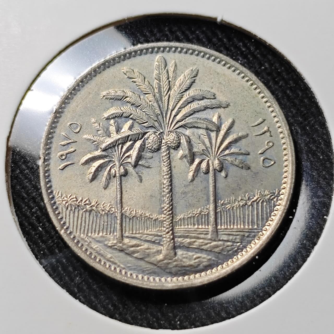 KK钱币收藏小铺  第391期  2月预留时间 周末发货  伊拉克50费尔 好品