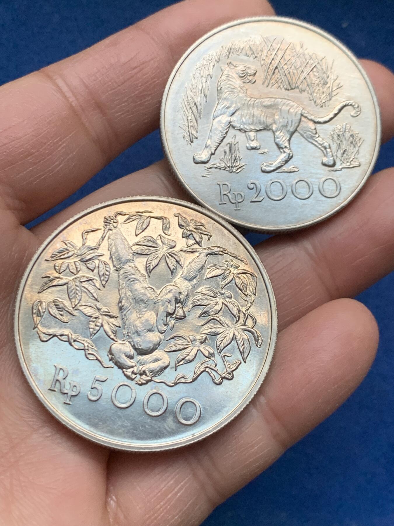 《竞宝斋》第463-465场 周日，周一，周二，3场连拍 （全场包邮）欢迎送拍 两枚一组 1974年印尼爪哇虎大猩猩银币 500银 总重57.5克