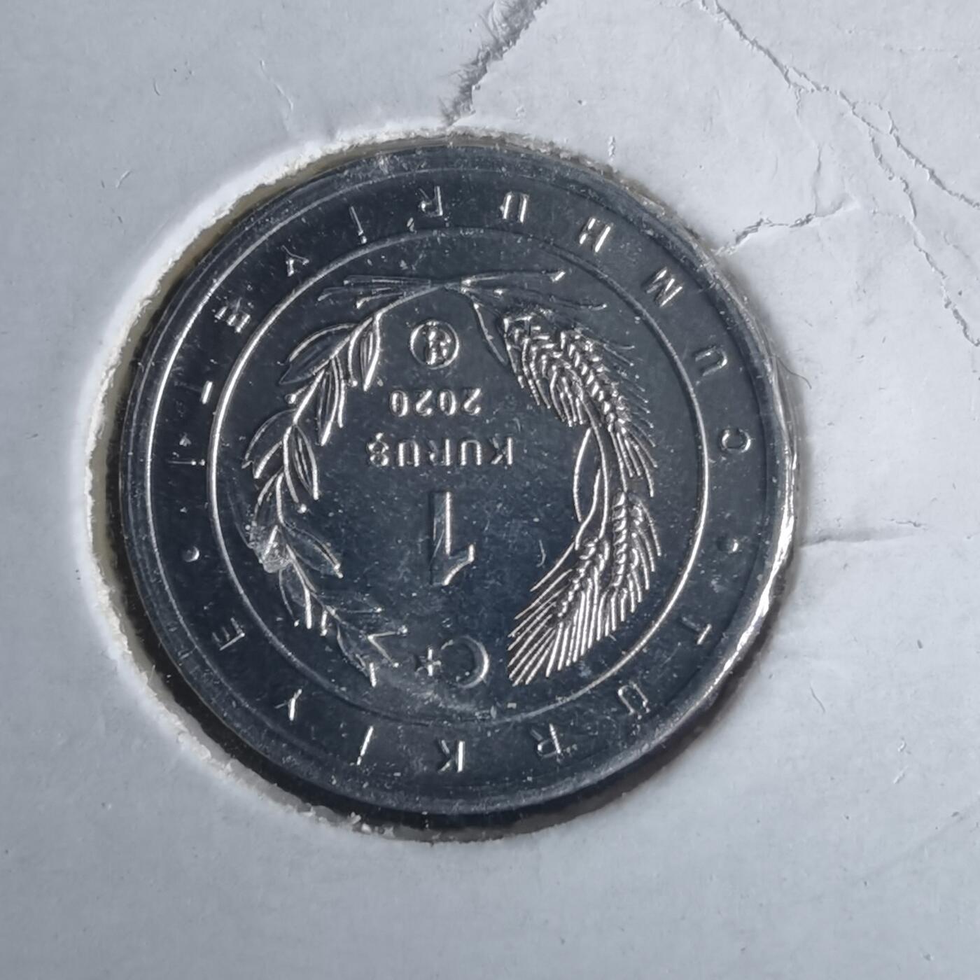 沼泽如烟--第981场 土耳其小鸟系列