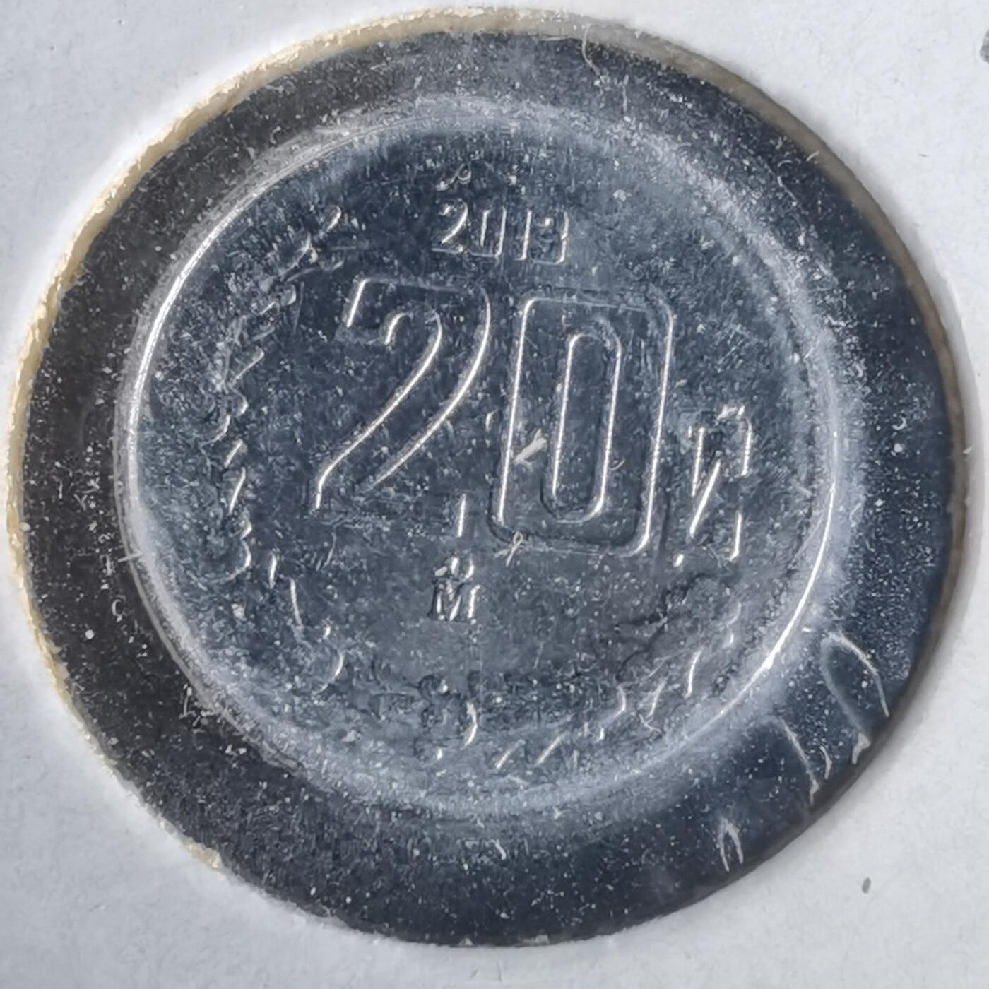 沼泽如烟--第981场