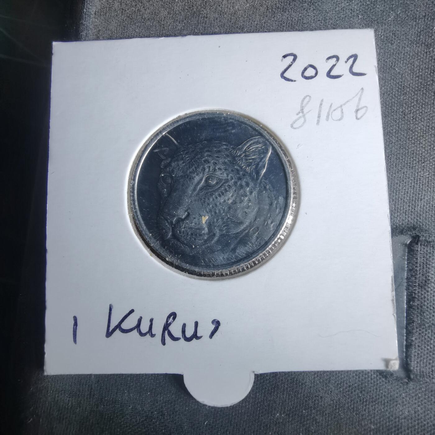 沼泽如烟--第981场 土耳其2022年1库鲁