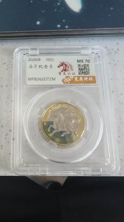 杂币场 - 马年纪念币一枚