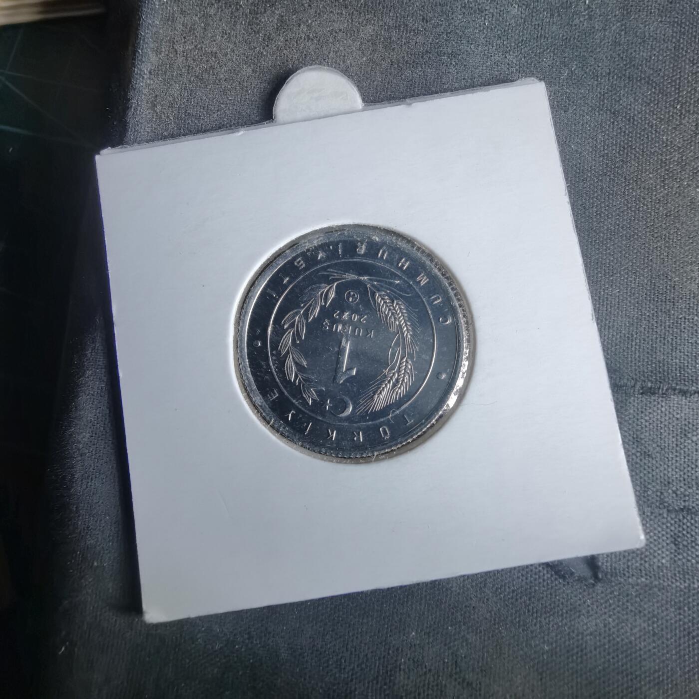 沼泽如烟--第981场 土耳其2022年1库鲁