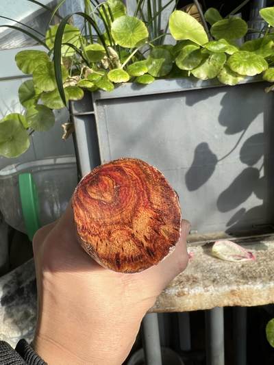 零元拍：NO.35-13海南黄花梨珠子把件料，外面白皮基本都去掉了，红肉打底花纹很漂亮。285/40/35MM - 零元拍：NO.35-13海南黄花梨珠子把件料，外面白皮基本都去掉了，红肉打底花纹很漂亮。285/40/35MM