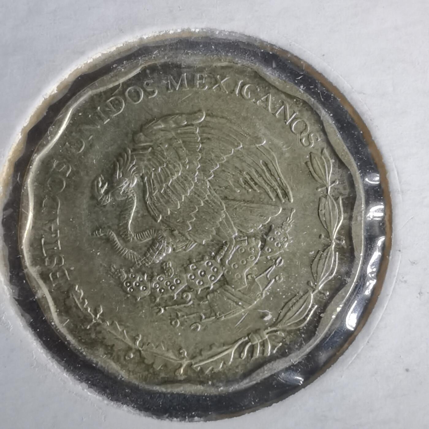 沼泽如烟--第981场