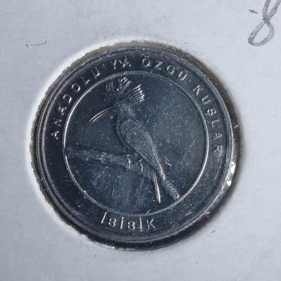 沼泽如烟--第981场 - 土耳其小鸟系列