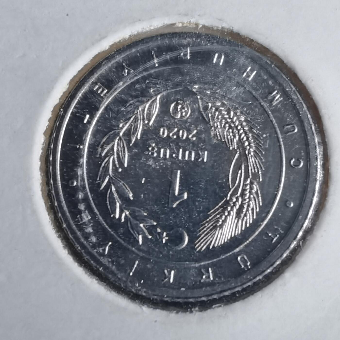 沼泽如烟--第981场 土耳其小鸟系列