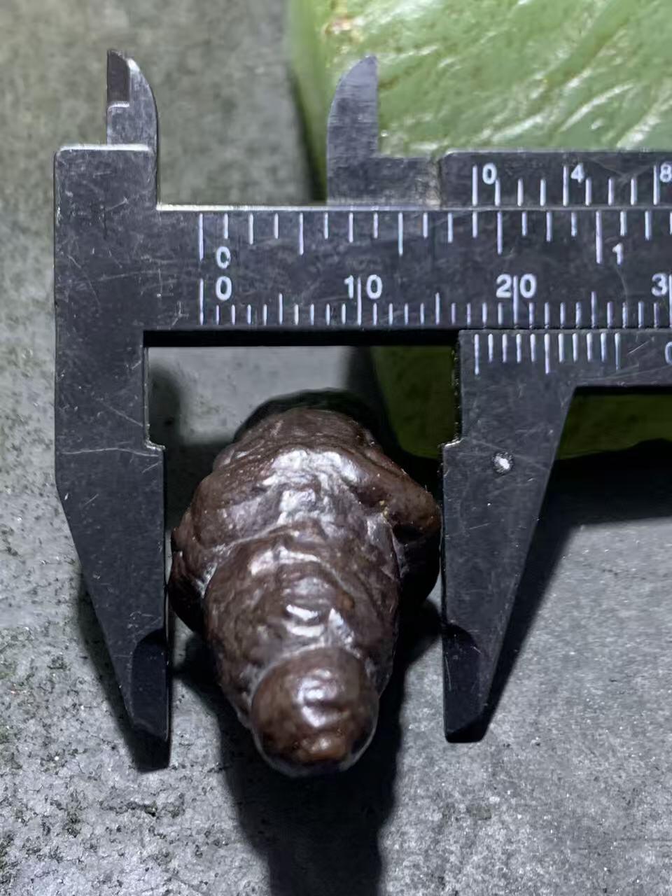 精美罕见戈壁象形黑金刚原石一块，