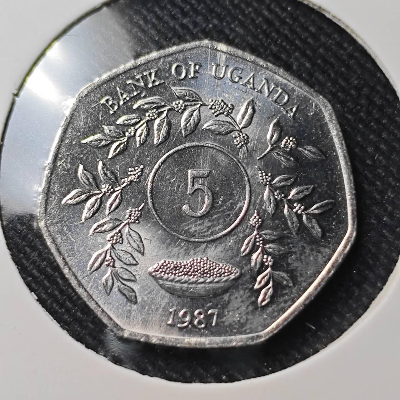 KK钱币收藏小铺  第391期  2月预留时间 周末发货