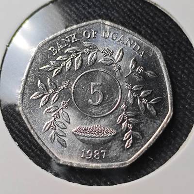 KK钱币收藏小铺  第391期  2月预留时间 周末发货 -  乌干达5先令 好品