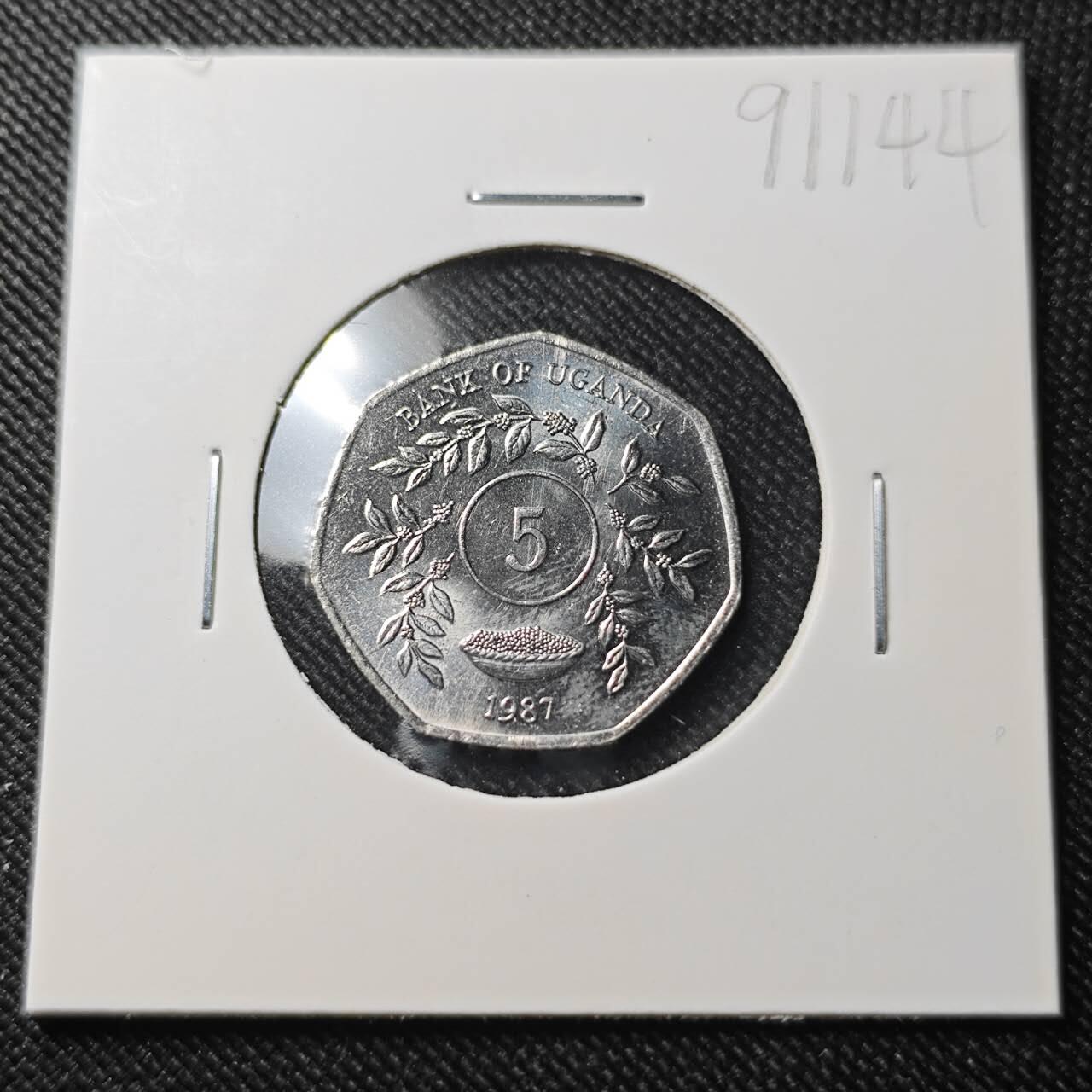 KK钱币收藏小铺  第391期  2月预留时间 周末发货