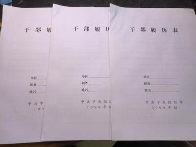 （店主清仓 大量自藏 制服徽章盛宴）罗岚⭐爱藏⭐甄选专拍第五场-分享拍场赚佣（实体经营） - 干部履历表三份 99版全新库存空白