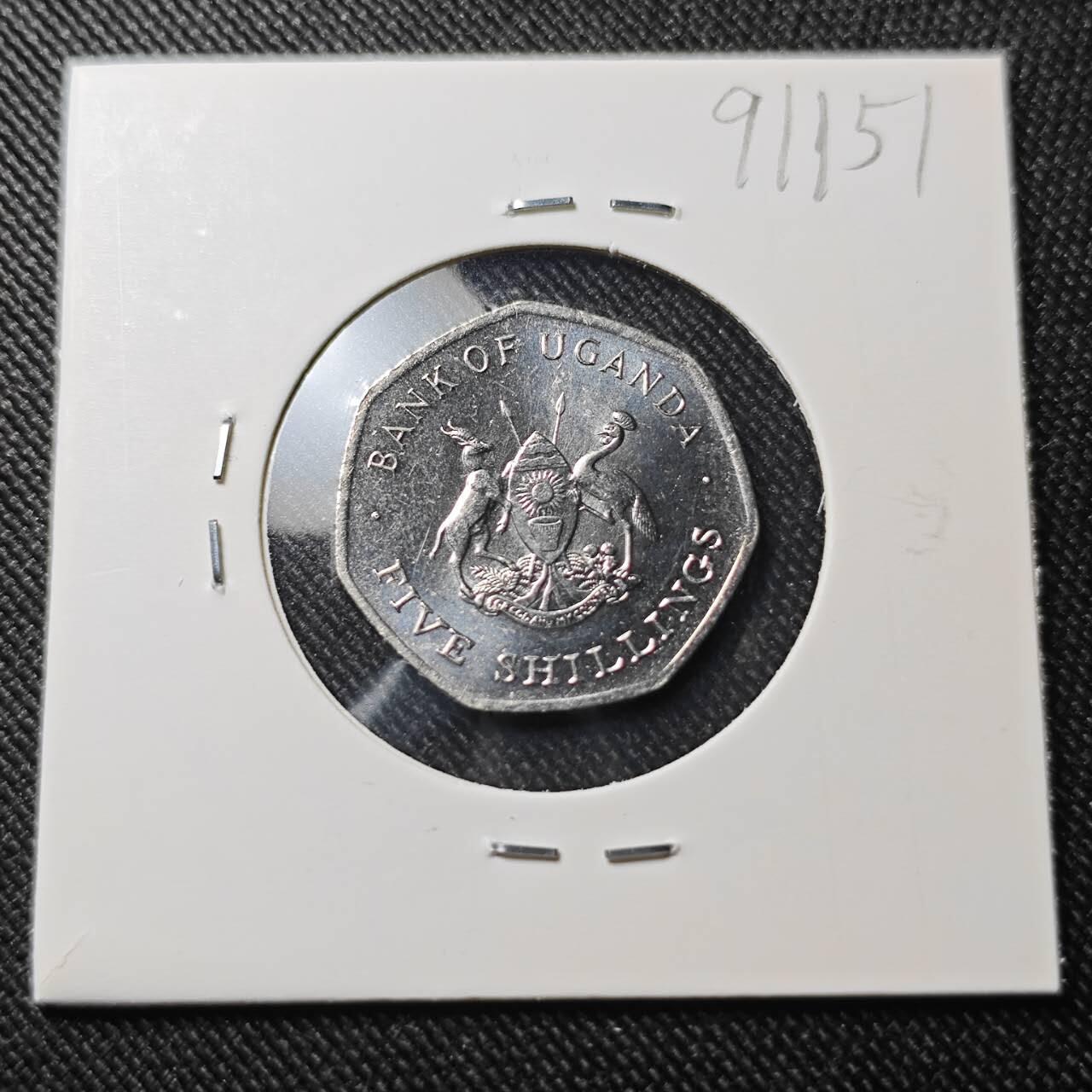 KK钱币收藏小铺  第391期  2月预留时间 周末发货