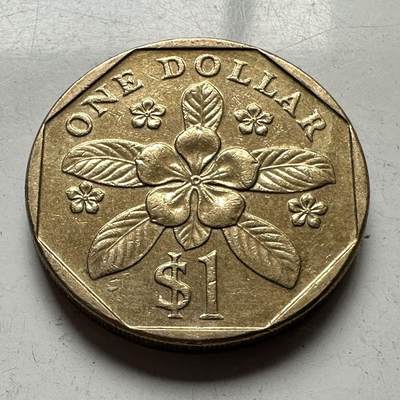 🌹外币初藏🌹🐯2026年第15场  每周二四六晚8️⃣点 接代拍 - 新加坡2006年¥1