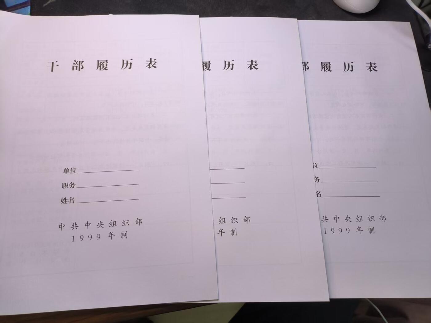 （店主清仓 大量自藏 制服徽章盛宴）罗岚⭐爱藏⭐甄选专拍第五场-分享拍场赚佣（实体经营） 干部履历表三份 99版全新库存空白