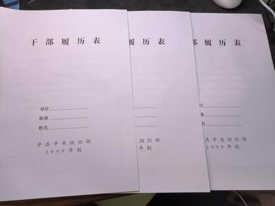 （店主清仓 大量自藏 制服徽章盛宴）罗岚⭐爱藏⭐甄选专拍第五场-分享拍场赚佣（实体经营） - 干部履历表三份 99版全新库存空白