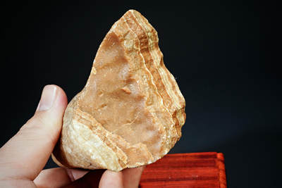 上海都达杂项专场四十七【全场包邮】  戈壁石连座90-3