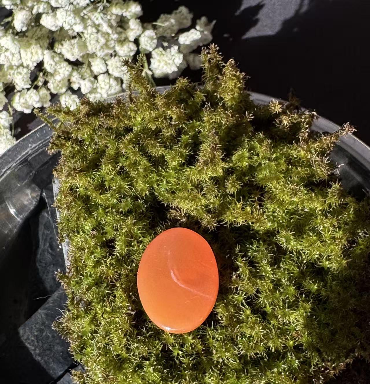 零元拍：NO.1南红玛瑙蛋面，都是十多年前的存货了，尺寸：戒面。尺寸约约22.9/17.5/8.8mm ，因为拍照环境以及光线的变化，颜色以实物为准。