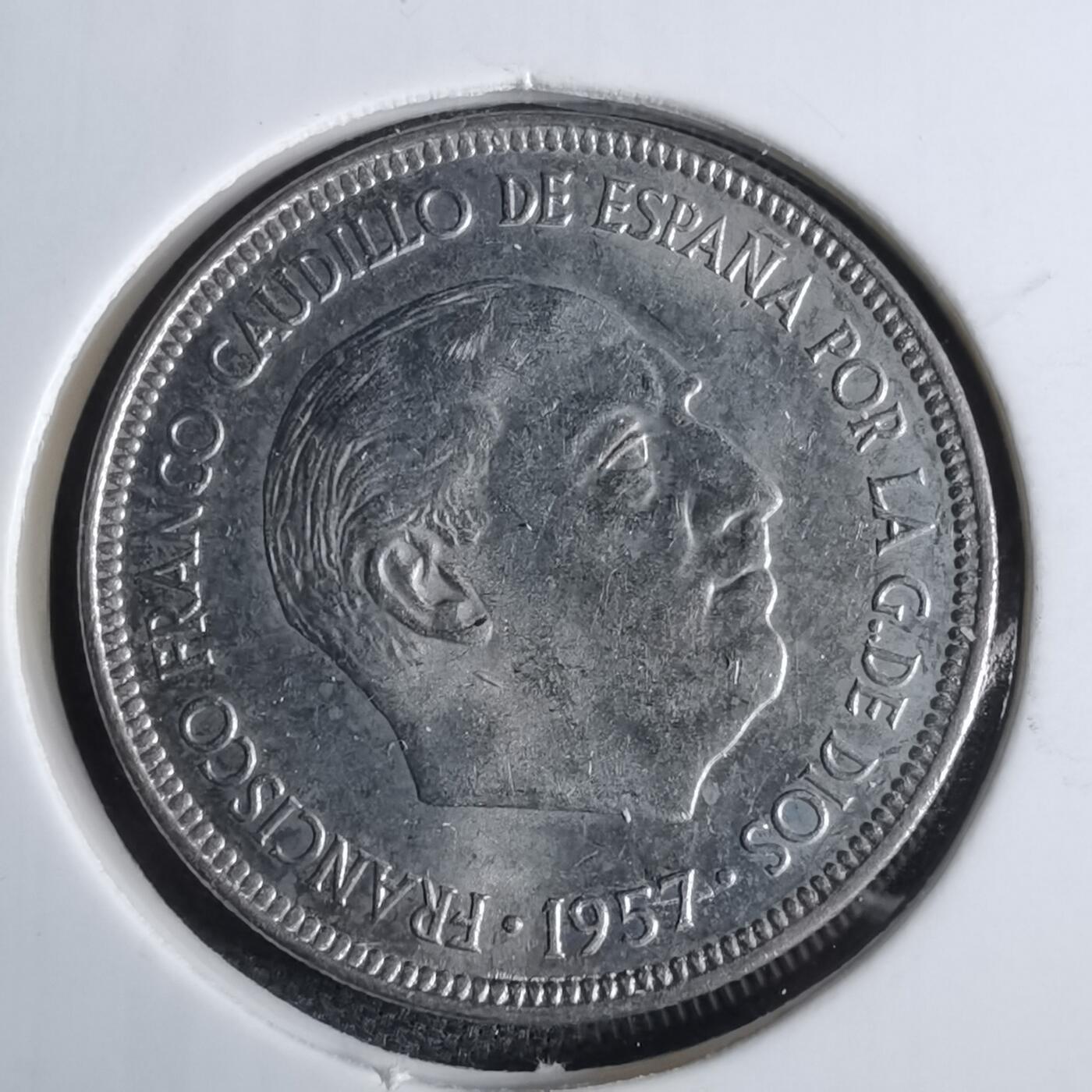 沼泽如烟--第983场