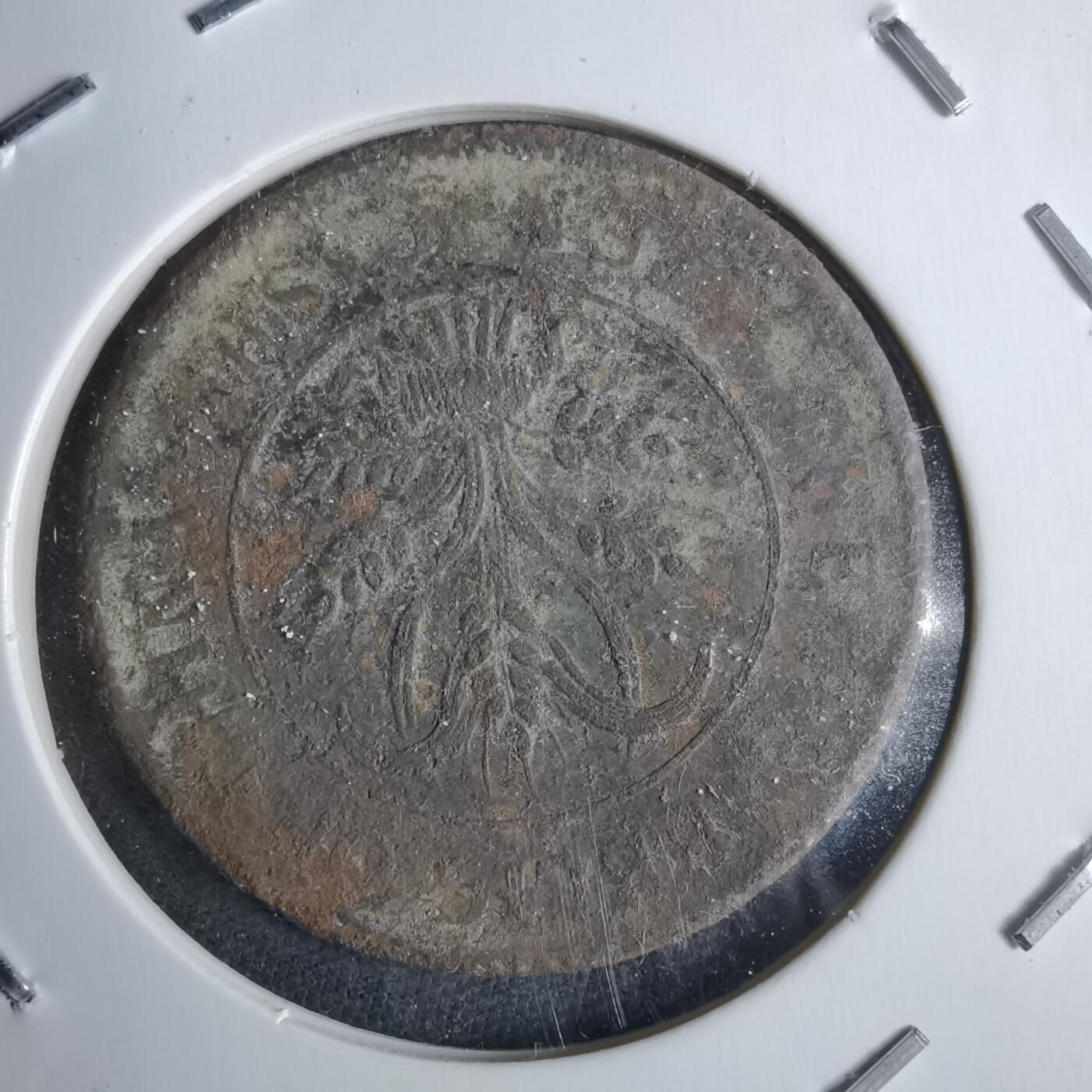 沼泽如烟--第983场