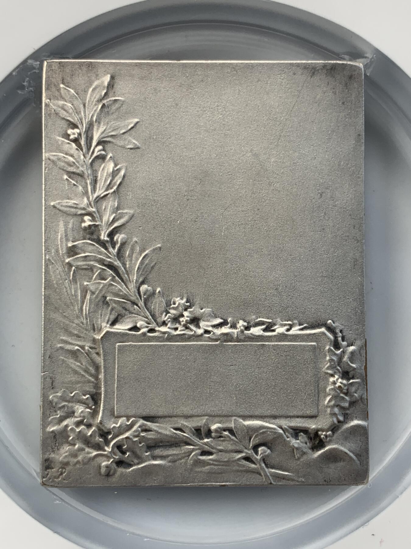 掌中浮雕-藏着的欧洲第052场 法国镀银铜章，45*59mm