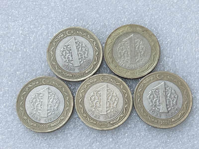 第一海外回流一元起拍收藏 散集专场  第298期 - 土耳其1里拉双色币 5枚