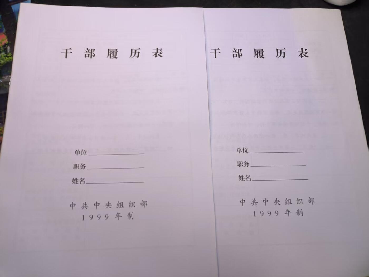 （店主清仓 大量自藏 制服徽章盛宴）罗岚⭐爱藏⭐甄选专拍第五场-分享拍场赚佣（实体经营） 干部履历表二份 99版全新库存空白