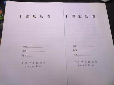 （店主清仓 大量自藏 制服徽章盛宴）罗岚⭐爱藏⭐甄选专拍第五场-分享拍场赚佣（实体经营） - 干部履历表二份 99版全新库存空白