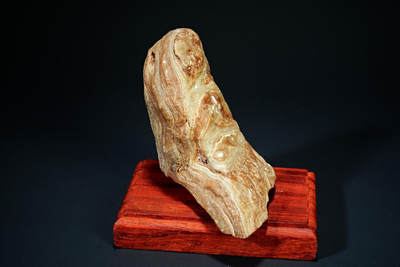 上海都达杂项专场四十七【全场包邮】  戈壁石连座90-3