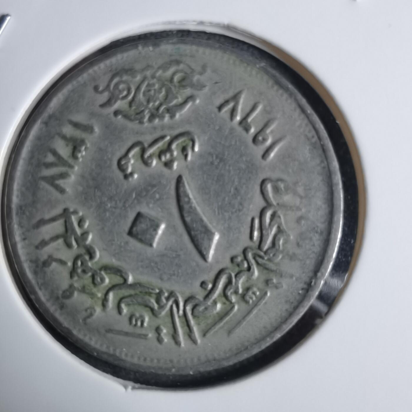 沼泽如烟--第983场