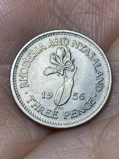 2026年第十八场(总第一百八十七场）外国好品散币场(免佣金) - 带光好品–英属罗德西亚和尼亚萨兰1956年3便士(伊丽莎白二世青年桂冠)
