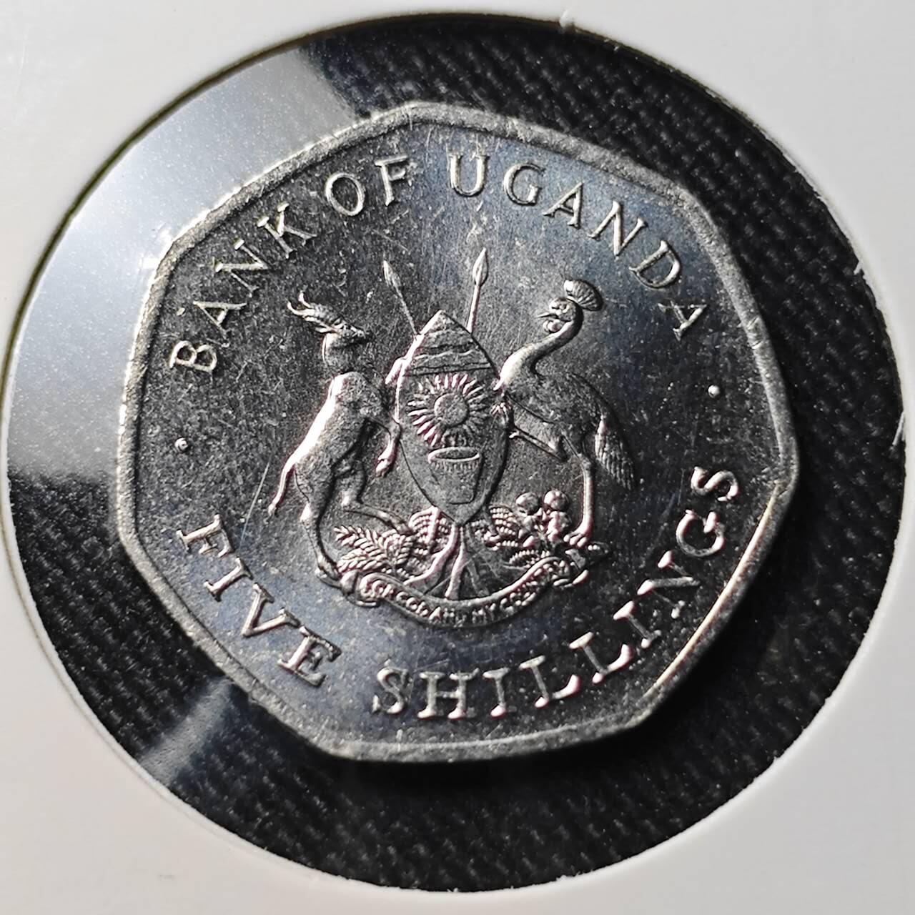 KK钱币收藏小铺  第391期  2月预留时间 周末发货