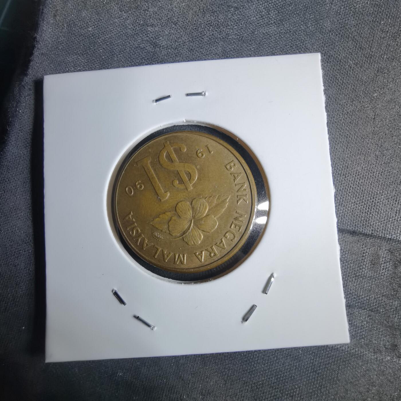 沼泽如烟--第983场