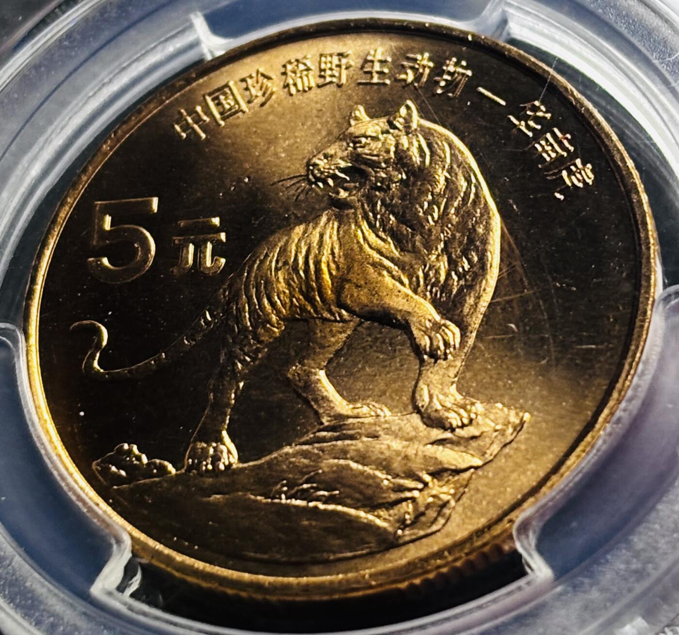 【金马踏春，泉马奔腾】2026 年新年贺岁场，（定于年初五接财神截拍）祝各位老板马到成功，马上有钱，愿岁岁平安喜乐顺遂 1996 年中国珍稀野生动物华南虎五元纪念币 PCGS 评级 MS67RD，满通光，卷拆高分品细节拉满