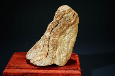 上海都达杂项专场四十七【全场包邮】  戈壁石连座90-3