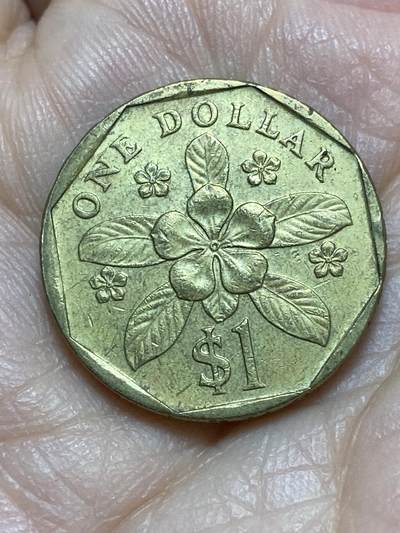 2026年第十八场(总第一百八十七场）外国好品散币场(免佣金) - 新加坡🇸🇬1994年1元(独立后第三套，低盾笑脸版)