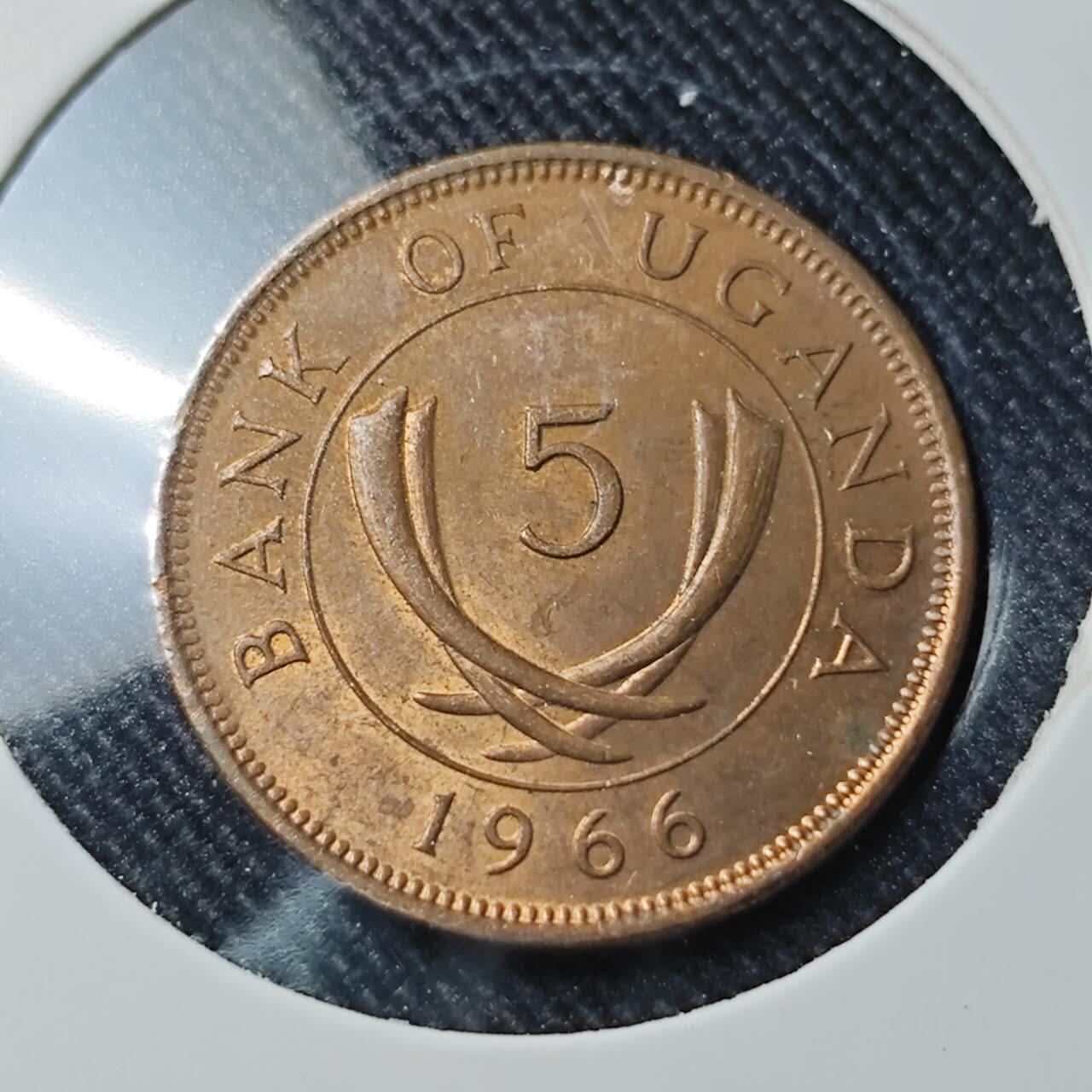 KK钱币收藏小铺  第391期  2月预留时间 周末发货  乌干达5分铜币