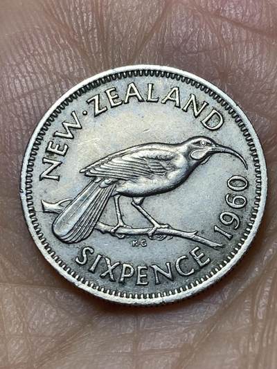 2026年第十八场(总第一百八十七场）外国好品散币场(免佣金) - 新西兰🇳🇿1960年6便士(伊丽莎白二世青年桂冠第二版)