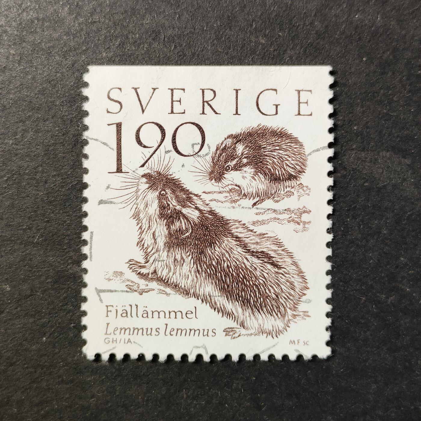 嘉禾收藏    【第457期】            无佣金、可寄存、满30元包邮