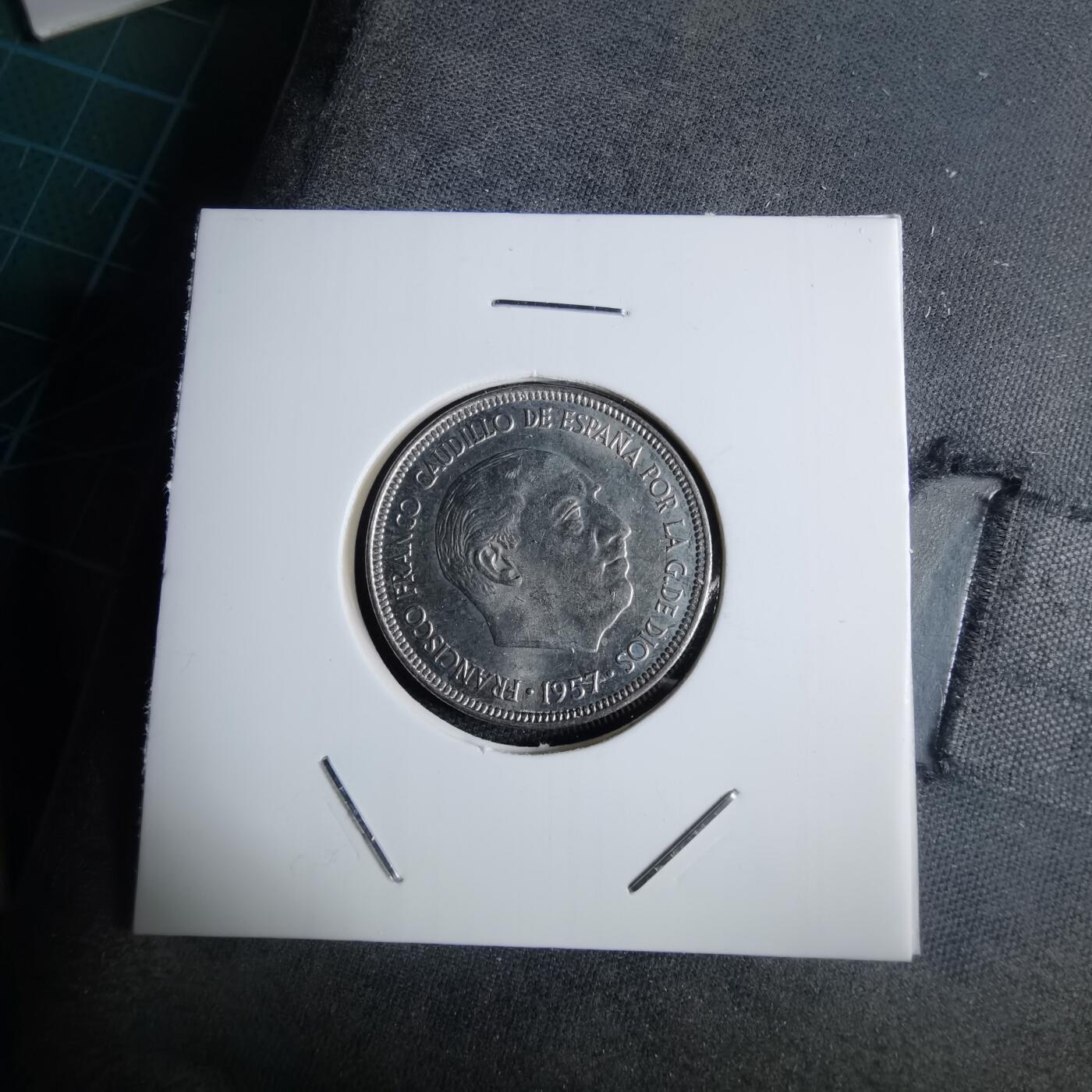 沼泽如烟--第983场